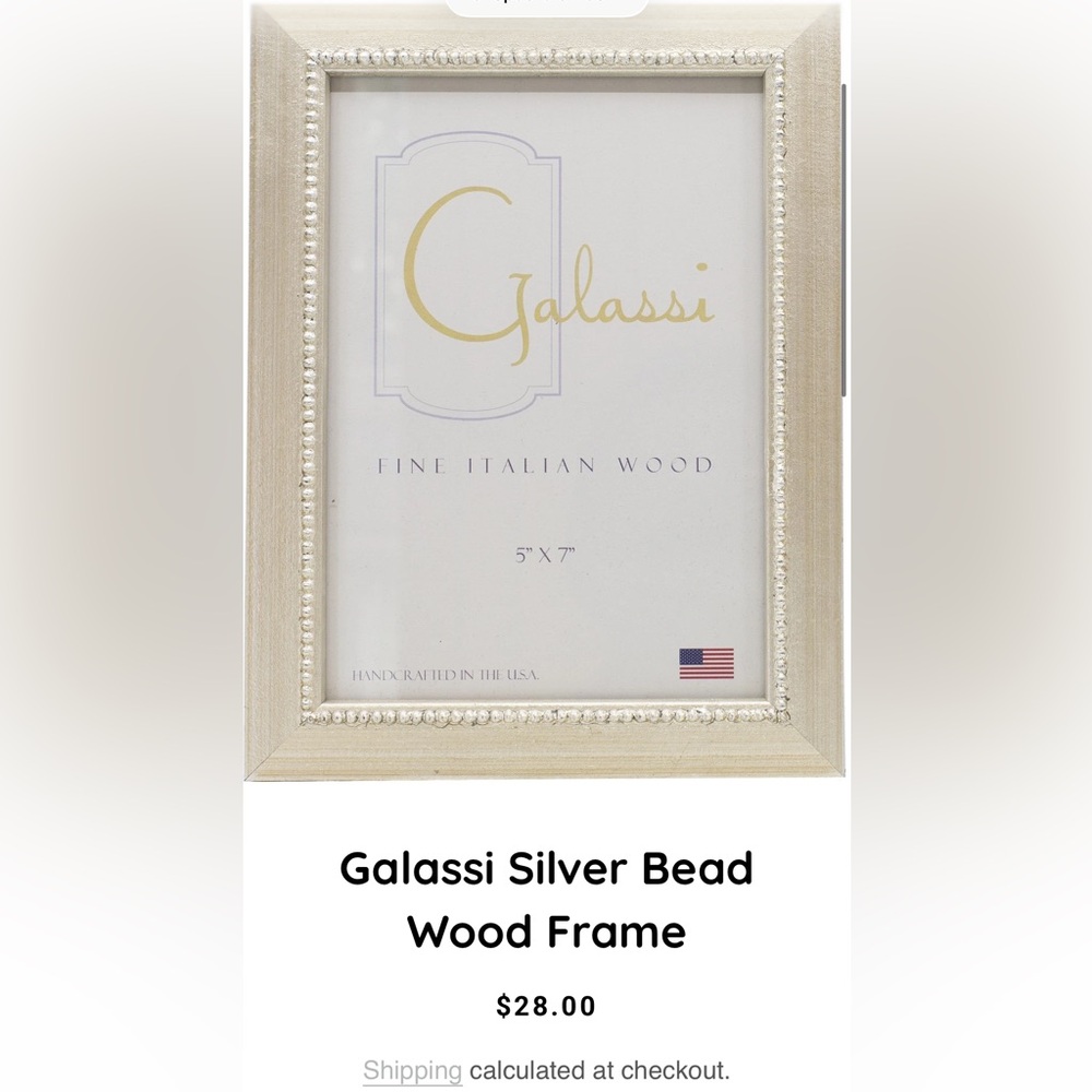 Galassi Silver Wood Picture Frame